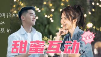 呆萌动物对对碰