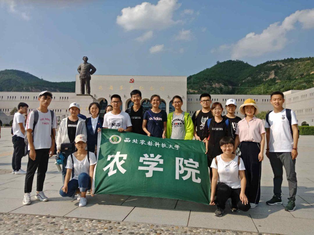 武动乾坤